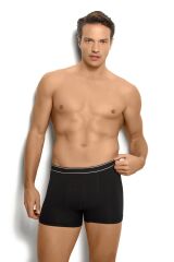 Boxer Elestan Jiber 277